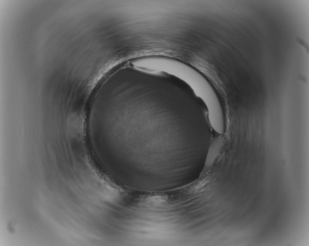 X0000099950156200806131455