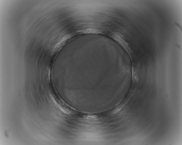 X0000099950157200806131455