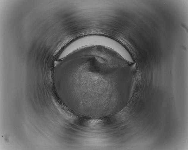 X0000099950158200806131455