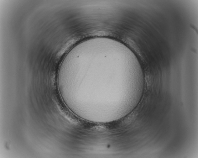 X0000099950159200806131455