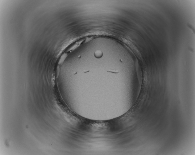 X0000099950160200806131455