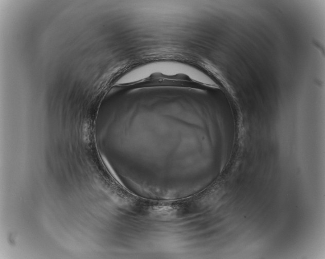 X0000099950161200806131455