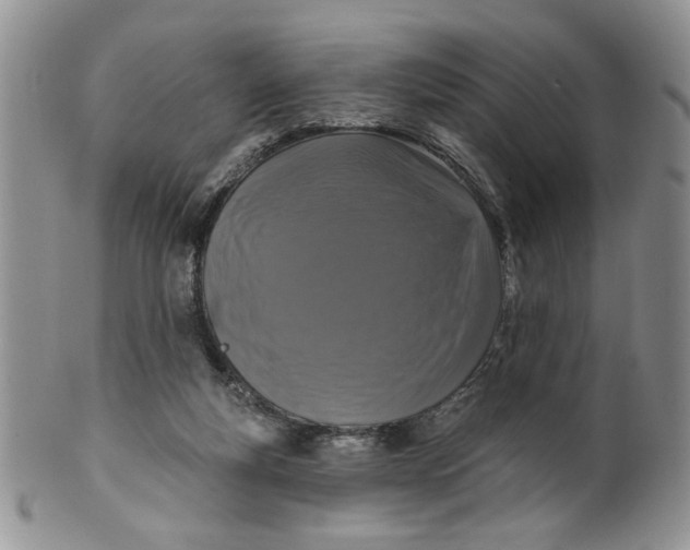 X0000099950163200806131455