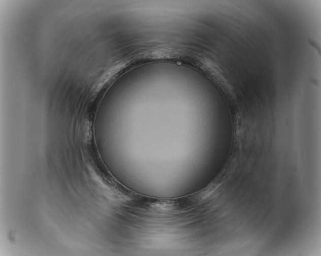 X0000099950164200806131455