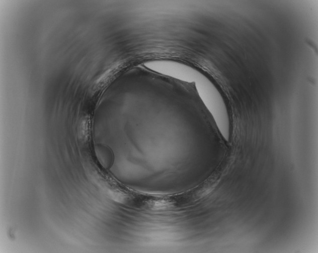 X0000099950165200806131455