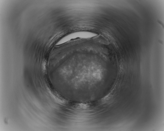 X0000099950166200806131455