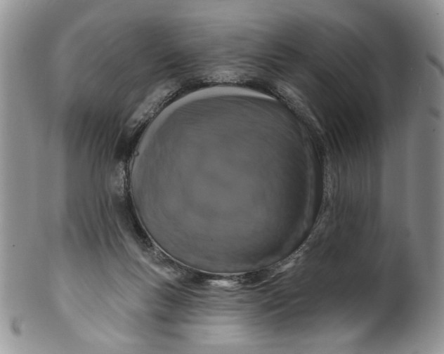 X0000099950167200806131455