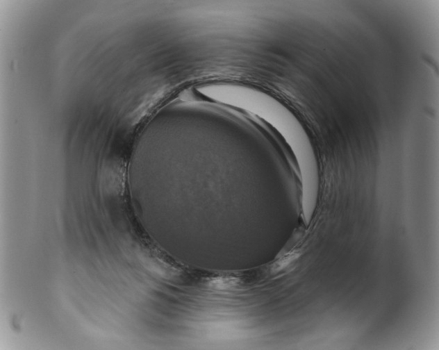 X0000099950168200806131455