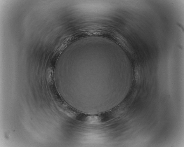 X0000099950169200806131455