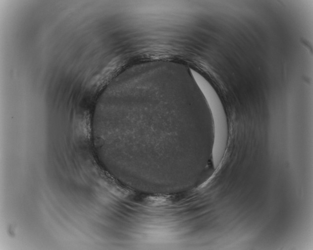 X0000099950170200806131455