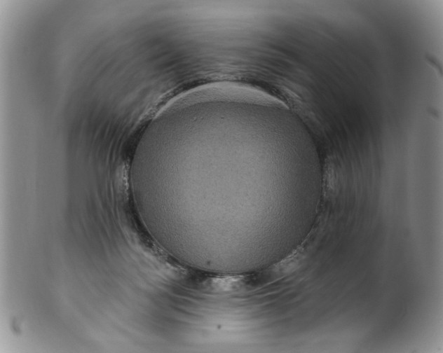 X0000099950172200806131455