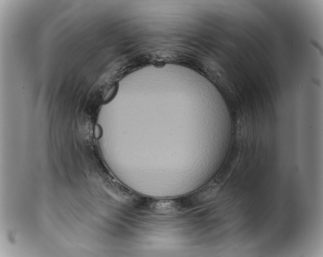 X0000099950173200806131455