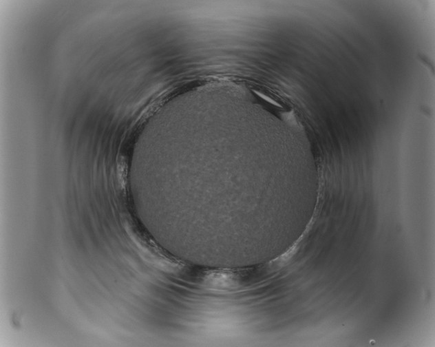 X0000099950174200806131455