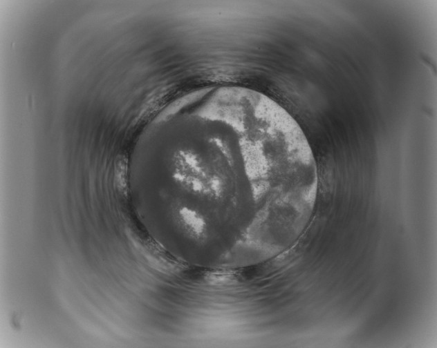 X0000099950175200806131455