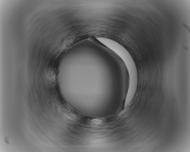 X0000099950176200806131455