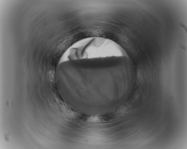 X0000099950177200806131455
