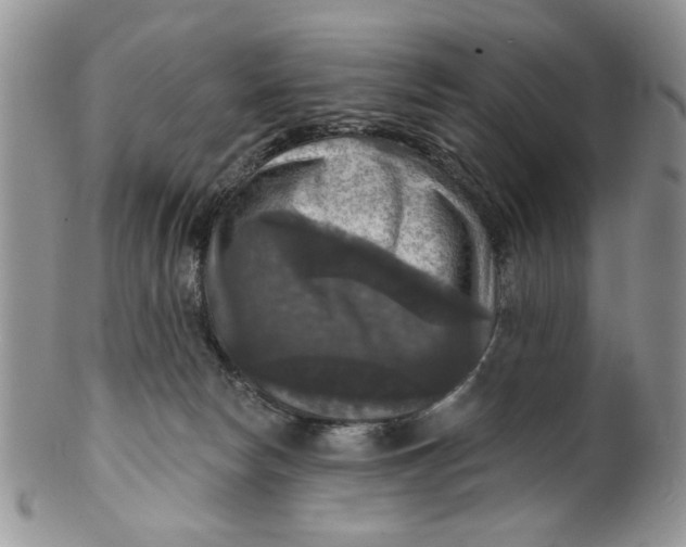 X0000099950178200806131455