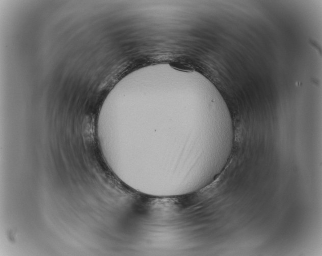 X0000099950179200806131455