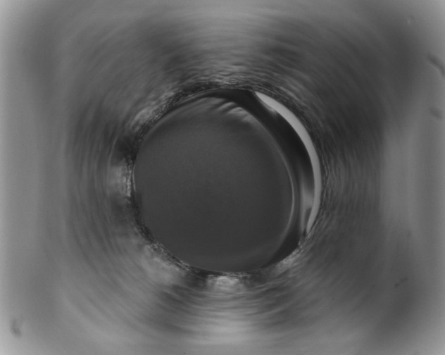 X0000099950180200806131455