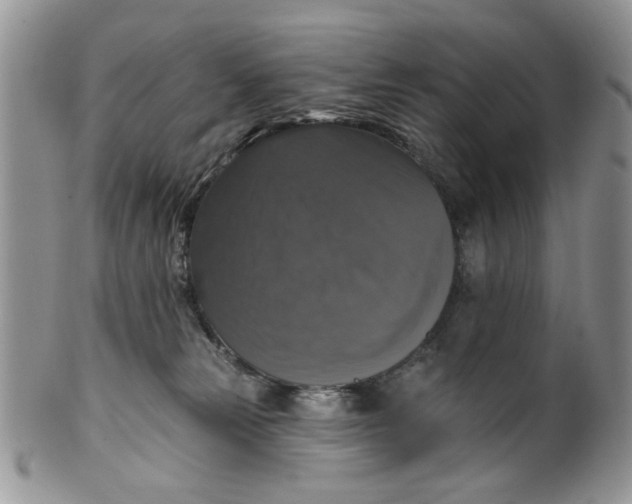X0000099950181200806131455