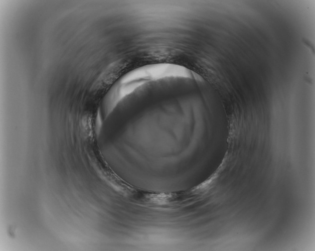 X0000099950182200806131455