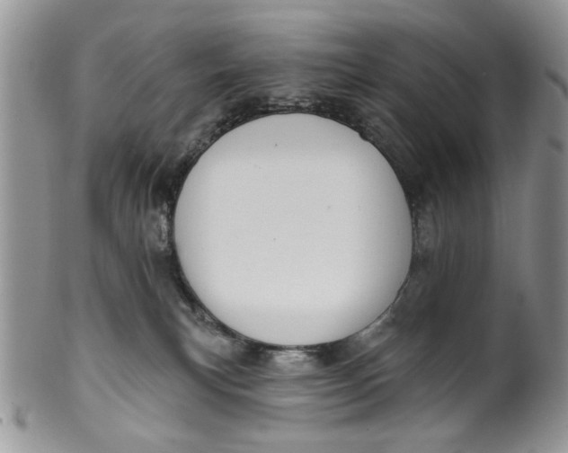 X0000099950183200806131456