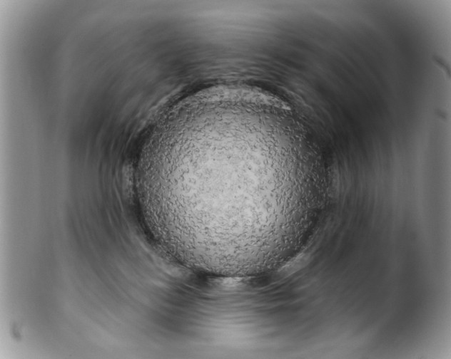 X0000099950184200806131456