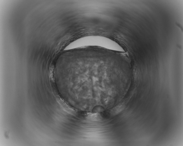 X0000099950185200806131456