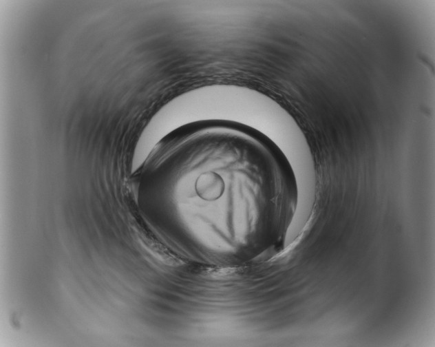 X0000099950186200806131456