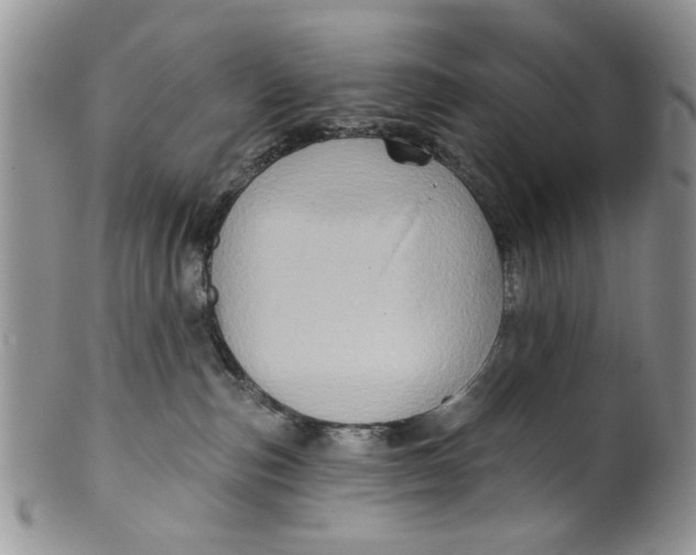 X0000099950187200806131456