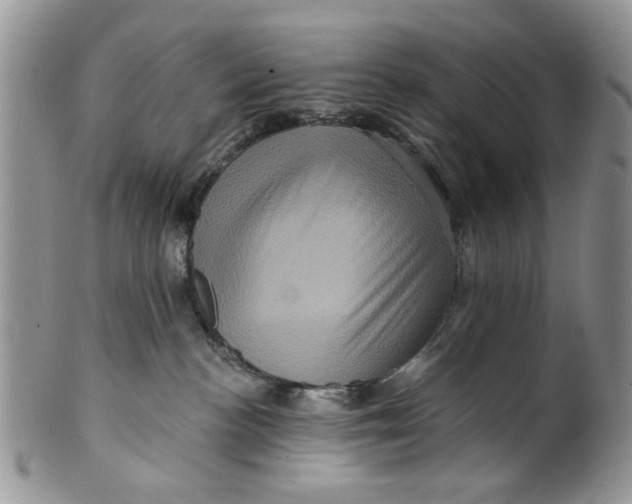 X0000099950188200806131456