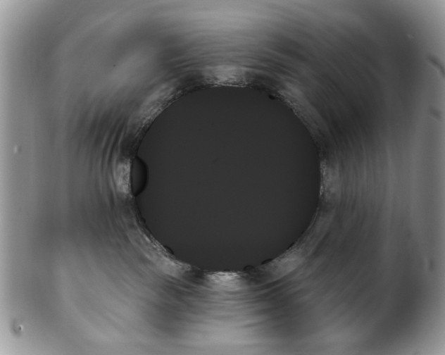 X0000099950189200806131456