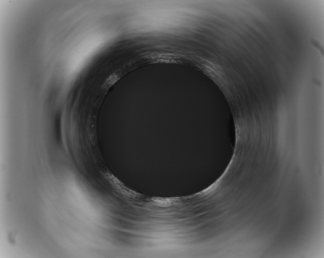 X0000099950190200806131456