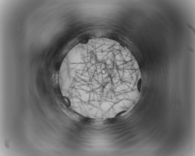 X0000099950191200806131456