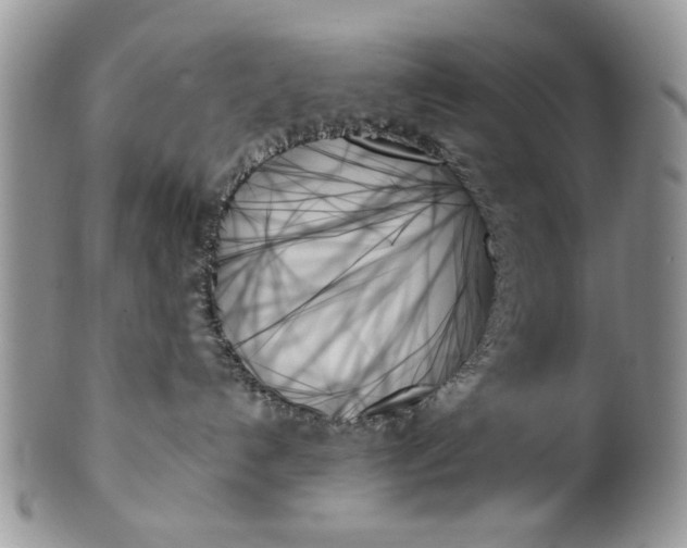 X0000099950192200806131456