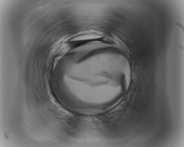 X0000099950193200806131455