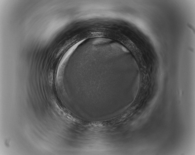 X0000099950194200806131455