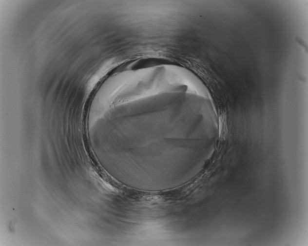 X0000099950195200806131455