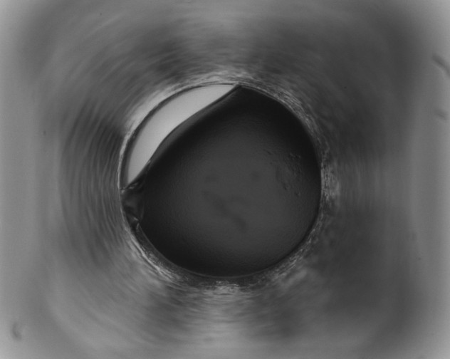 X0000099950196200806131455