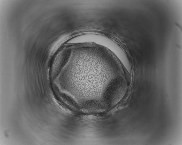 X0000099950197200806131455