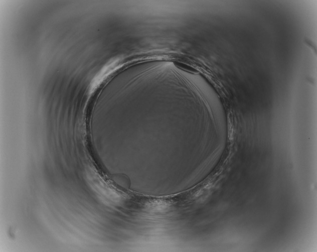 X0000099950198200806131455