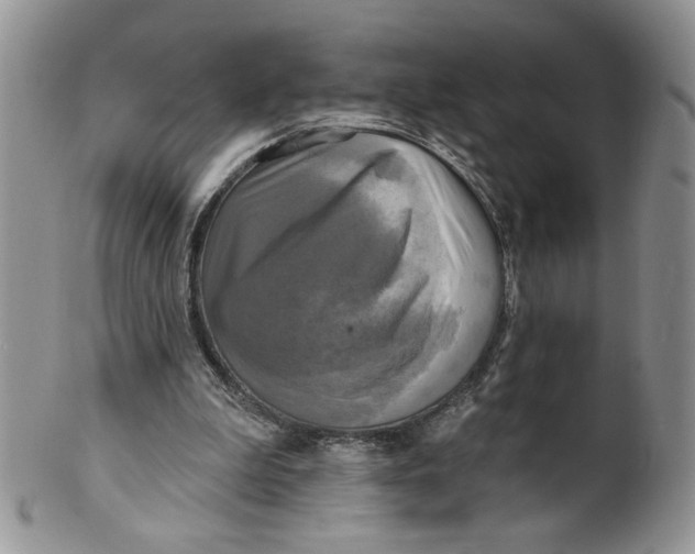 X0000099950199200806131455