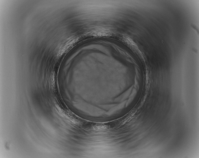 X0000099950202200806131455