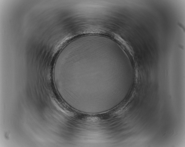 X0000099950203200806131455