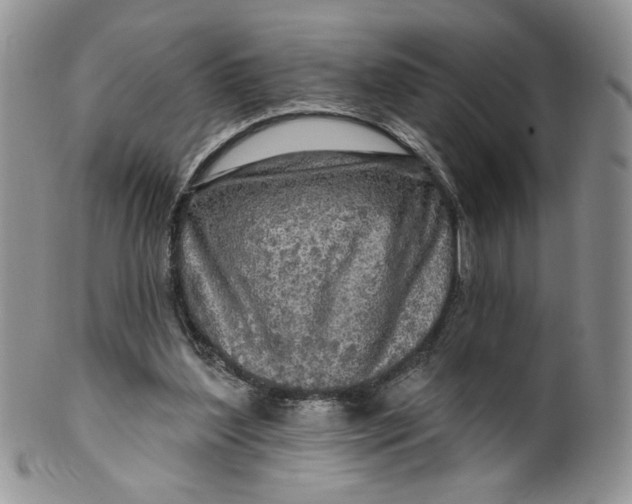 X0000099950204200806131455