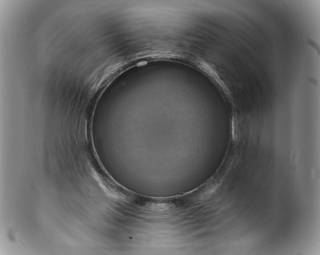 X0000099950205200806131455