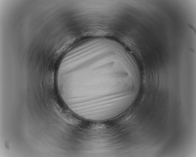X0000099950206200806131455