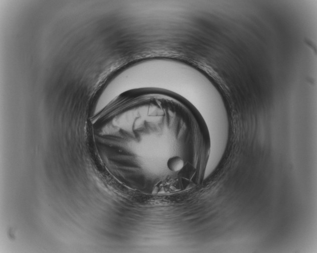 X0000099950207200806131455