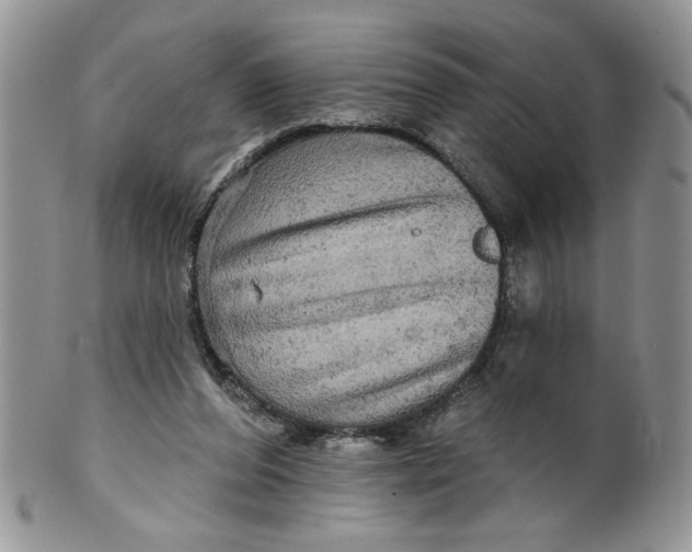 X0000099950208200806131455