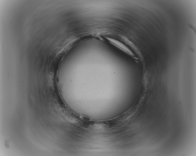 X0000099950209200806131455